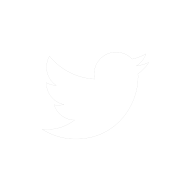 Twitter social media icon